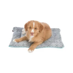 Trixie Junior Lying Mat -Beeztys Zone prod 14309 196628 2000 none