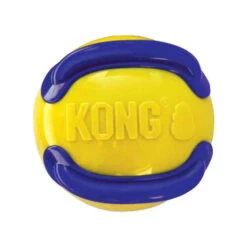 KONG Jaxx Brights Ball -Beeztys Zone prod 14647 203681 0500 none