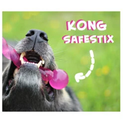 KONG Safestix -Beeztys Zone product kong safestix none 4 1458633926 66969