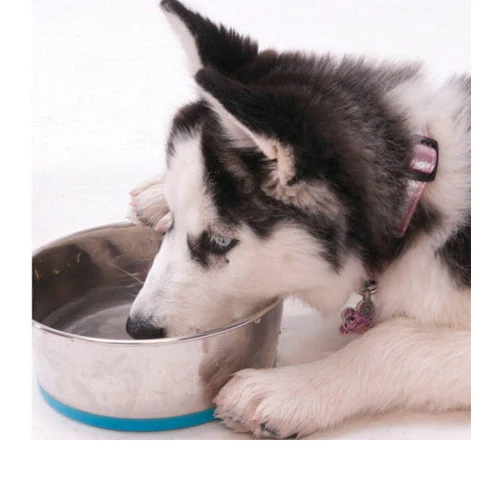 Rogz Slurp Bowlz 4 Rogz Slurp Bowlz - Image 4