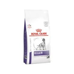 Royal Canin Dental Dog -Beeztys Zone royal canin dental hond dlk 22