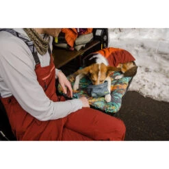 Ruffwear Basecamp Dog Bed -Beeztys Zone ruffwear basecamp dog bed 185464 1000 none