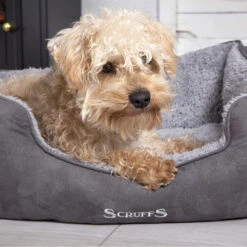 Scruffs Cosy Box Bed -Beeztys Zone scruffs cosy box bed 209483 1000 none