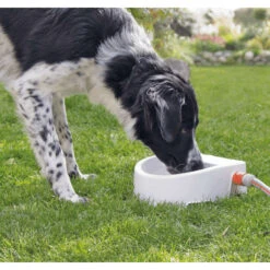Trixie Automatic Outdoor Water Bowl