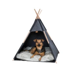 Trixie Tipi -Beeztys Zone trixie tipi 205724 2000 none