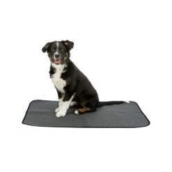 Trixie Hygiene Pad Nappy Washable -Beeztys Zone trixie zindelijkheidsmat nappy wasbaar 167188 1000 none