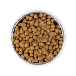 Vetality Adult Medium - Dog Food -Beeztys Zone vetality adult medium hondenvoer 213659 2000 none