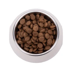Vetality Hypoallergenic - Dog Food -Beeztys Zone vetality hypoallergenic hondenvoer 182065 2000 none