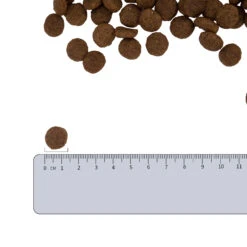 Vetality Hypoallergenic - Dog Food -Beeztys Zone vetality hypoallergenic hondenvoer 182338 2000 none