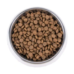 Vetality Hypoallergenic - Dog Food -Beeztys Zone vetality hypoallergenic hondenvoer 195278 1000 none