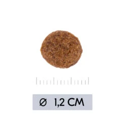 Vetality Hypoallergenic - Dog Food -Beeztys Zone vetality hypoallergenic hondenvoer 195473 1000 none