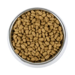 Vetality Weight Management - Dog Food -Beeztys Zone vetality weight management hondenvoer 195227 1000 none