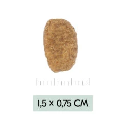 Vetality Weight Management - Dog Food -Beeztys Zone vetality weight management hondenvoer 195455 1000 none