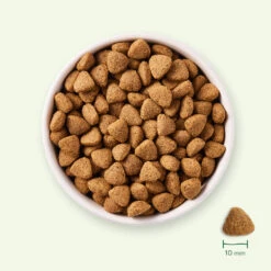 Yarrah - Dry Dog Food Vega Bio -Beeztys Zone yarrah droogvoer hond vega bio 199646 1000 none