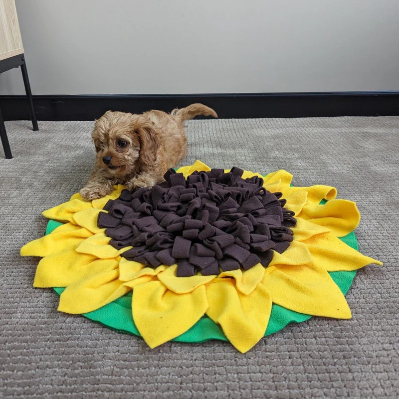 Beeztys Zone -Beeztys Zone all for paws dig it sunflower sniffer mat